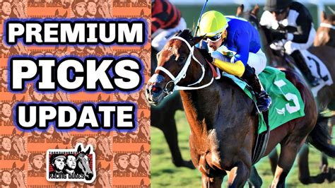 harness king free picks.
